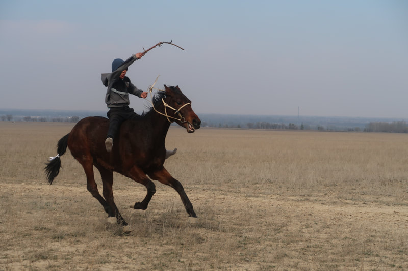 Child riding a horse